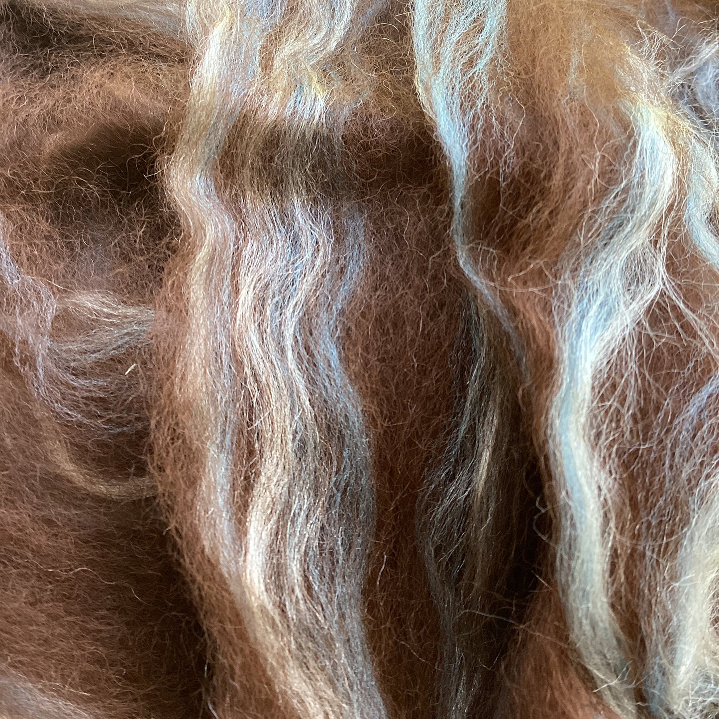 Alpaca/Merino/Silk Pin-Drafted Roving - Dark Brown, Aqua, White 1 Pound