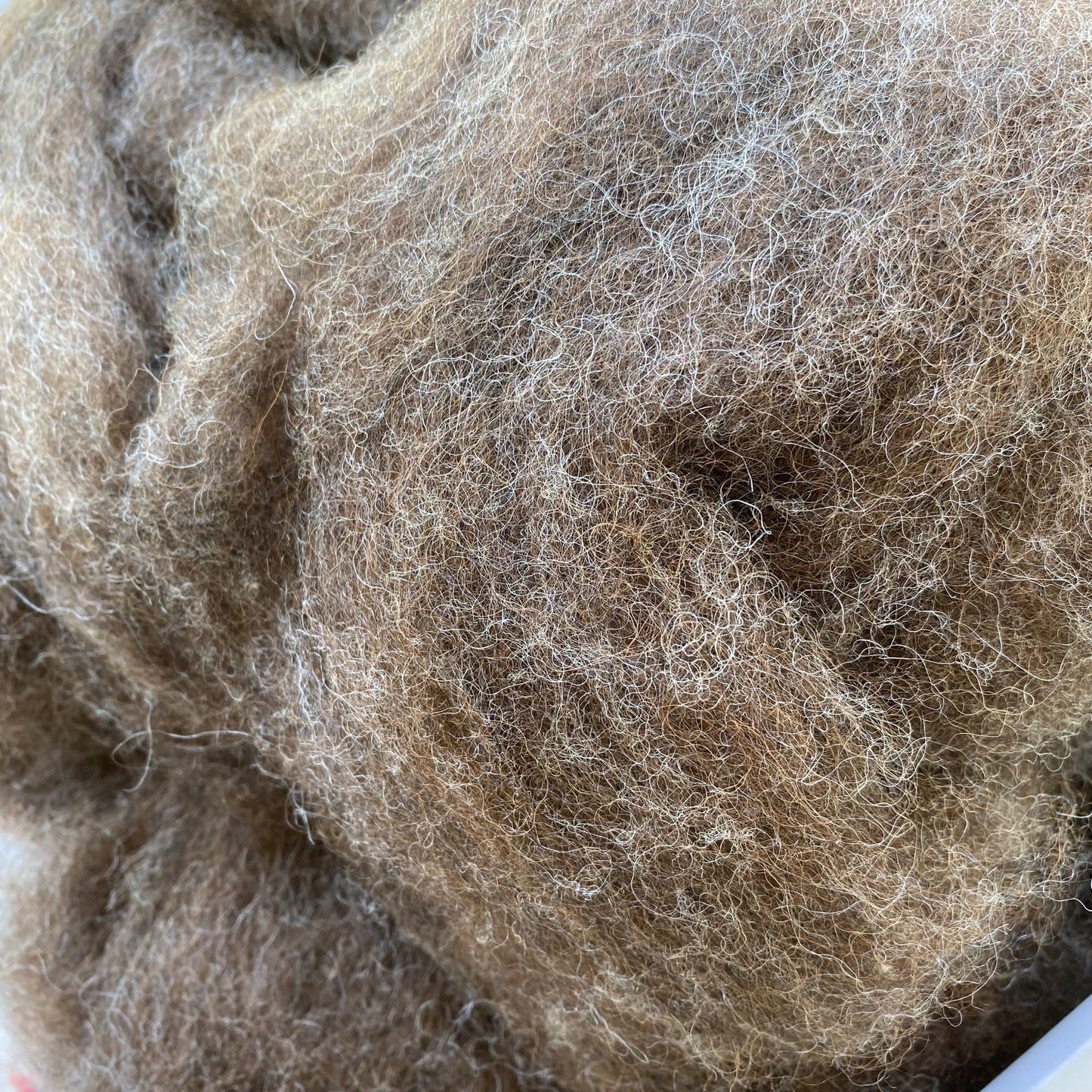 SHF Herd Blend Alpaca/Fine Wool Roving (1 pound bags)