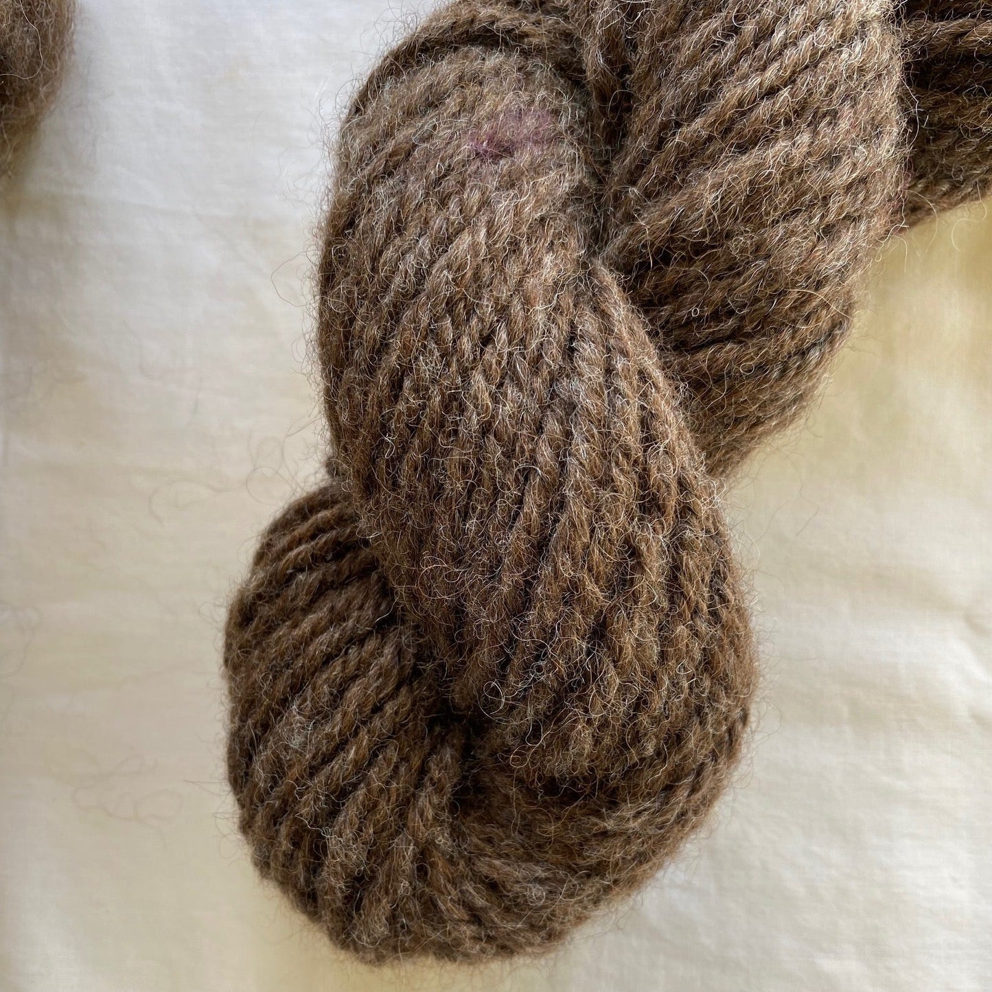 SHF Herd Blend Alpaca/Fine Wool Roving (14 ounces)