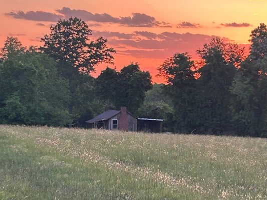 Our Journey to Upstate South Carolina — Part 2