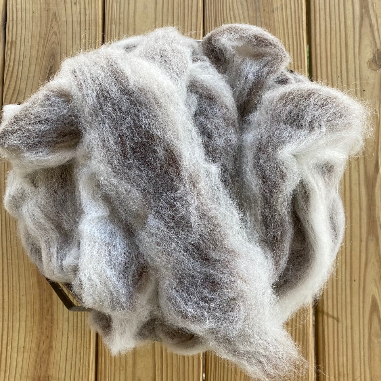 Alpaca/Fine Wool Roving - Two-Way Brown & White Swirl 1 pound