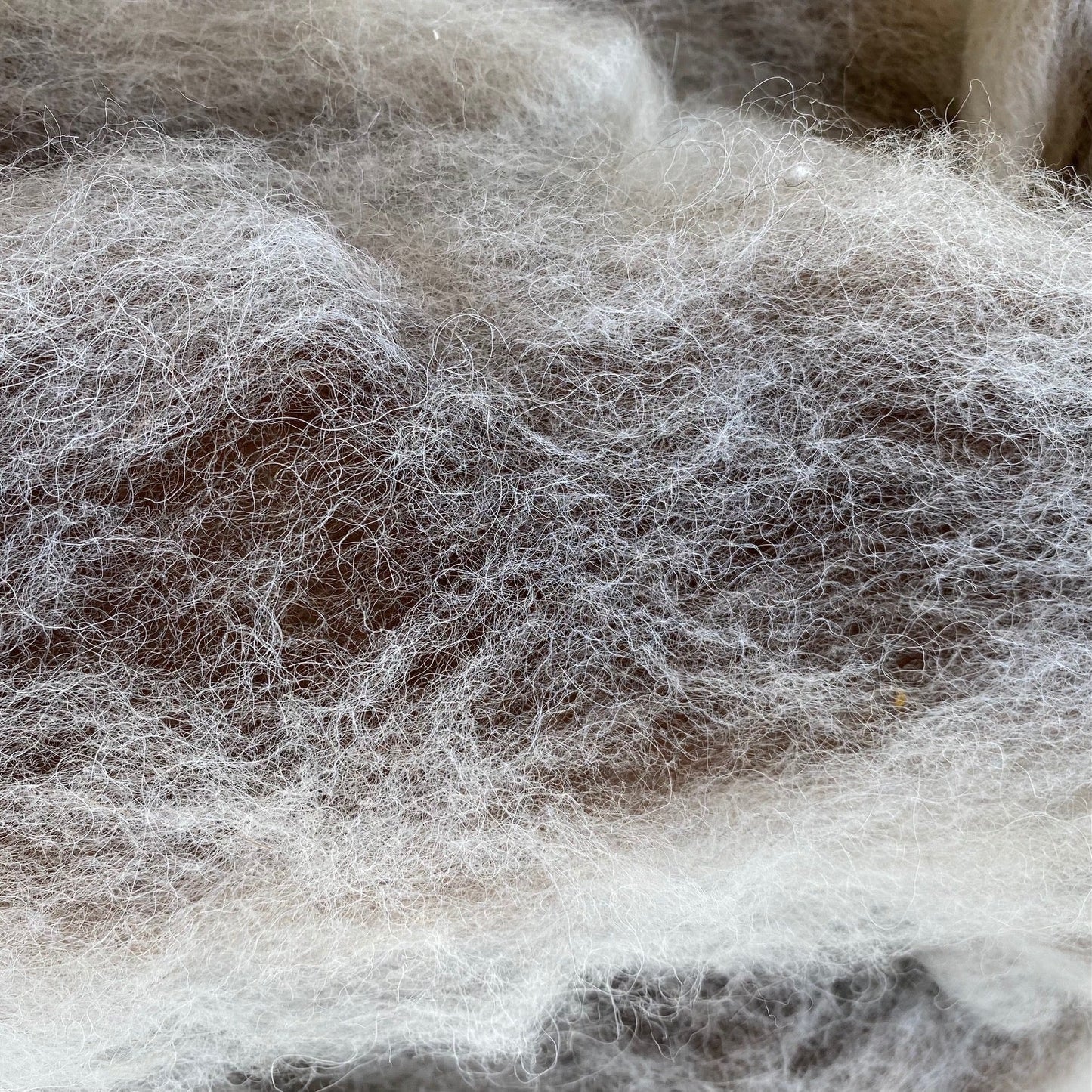 Alpaca/Fine Wool Roving - Two-Way Brown & White Swirl 1 pound