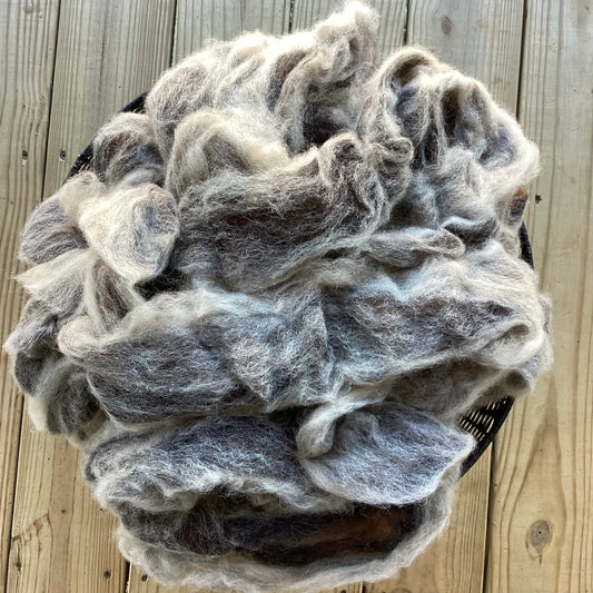 Dream Swirl Alpaca/Wool Roving - 1 pound
